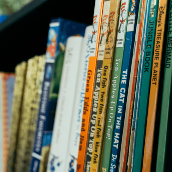 bookshelf filled with childrens books