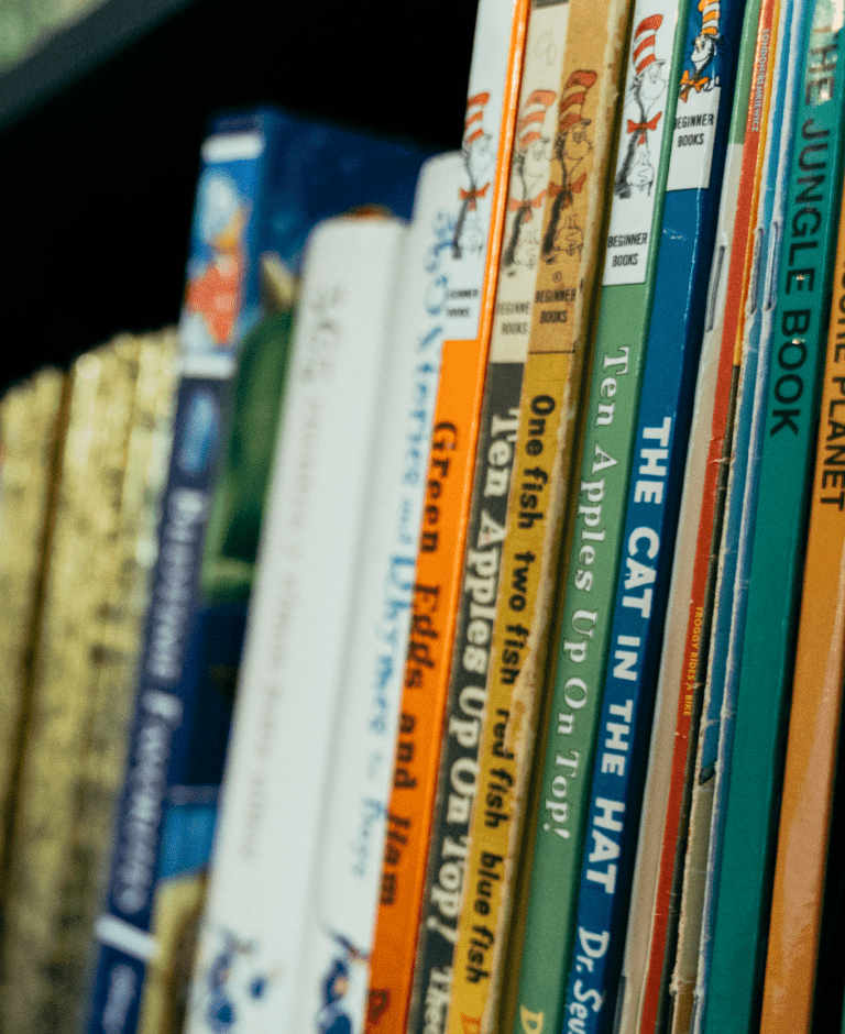 bookshelf filled with childrens books