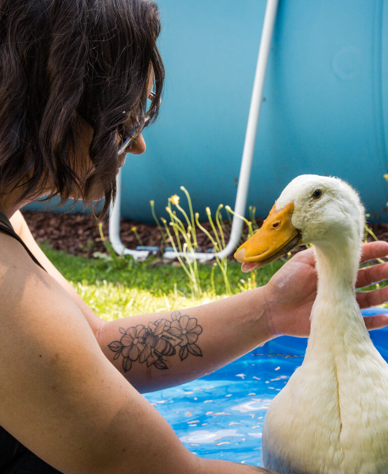 A young woman bathes a duck in a plastic pool.