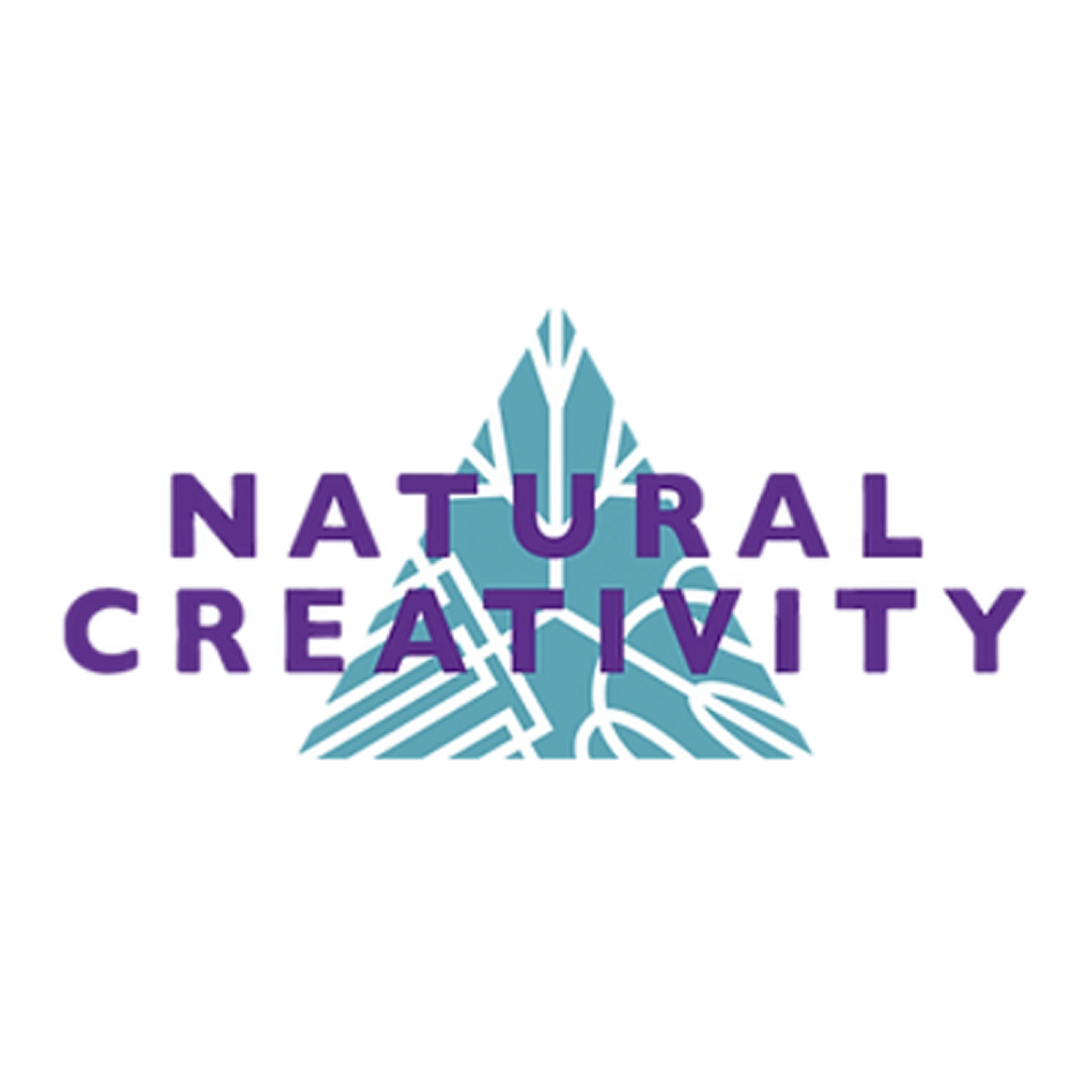 Natural Creativey logo with a triangle and geomatric shapes in the center